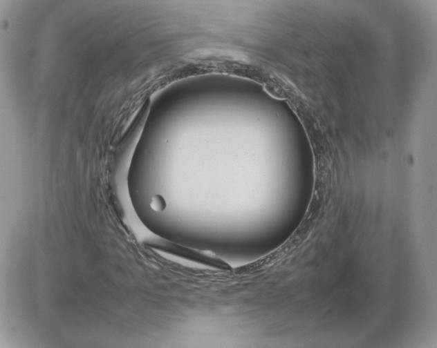 X0000086080965200704202147