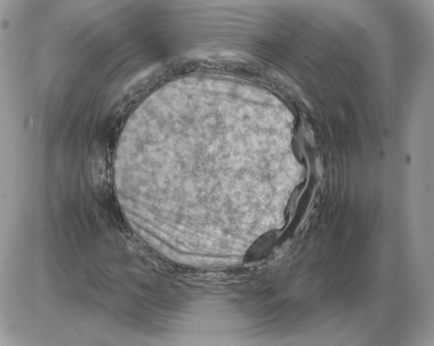 X0000086080966200704202147