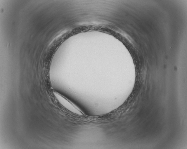 X0000086080967200704202147