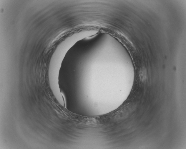 X0000086080968200704202147