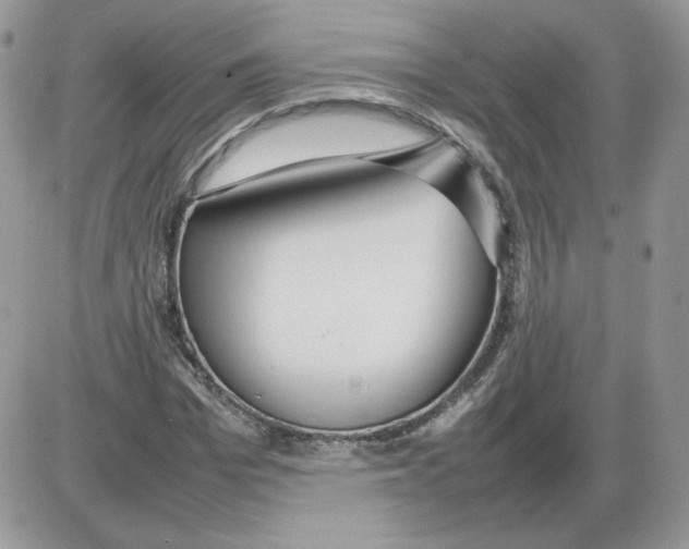 X0000086080969200704202147