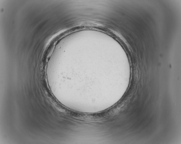 X0000086080971200704202147