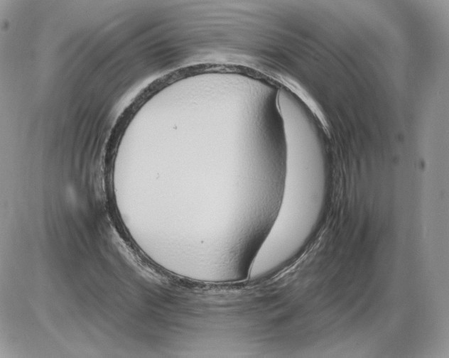 X0000086080972200704202147