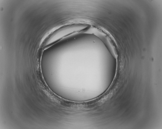 X0000086080973200704202147