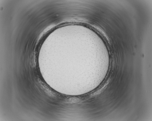 X0000086080974200704202147