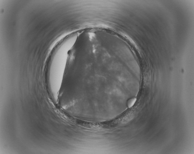 X0000086080975200704202147