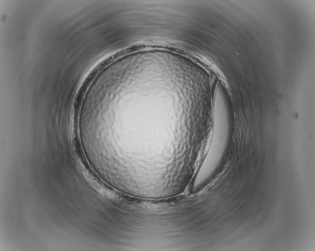 X0000086080976200704202147