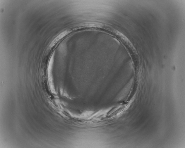 X0000086080977200704202147