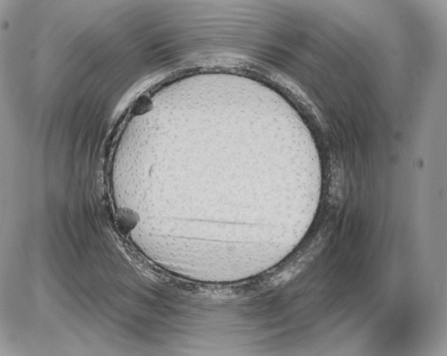 X0000086080978200704202147