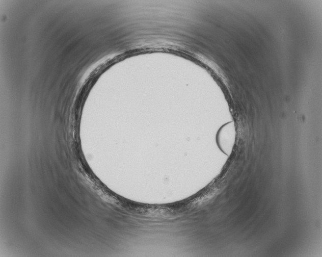 X0000086080979200704202147