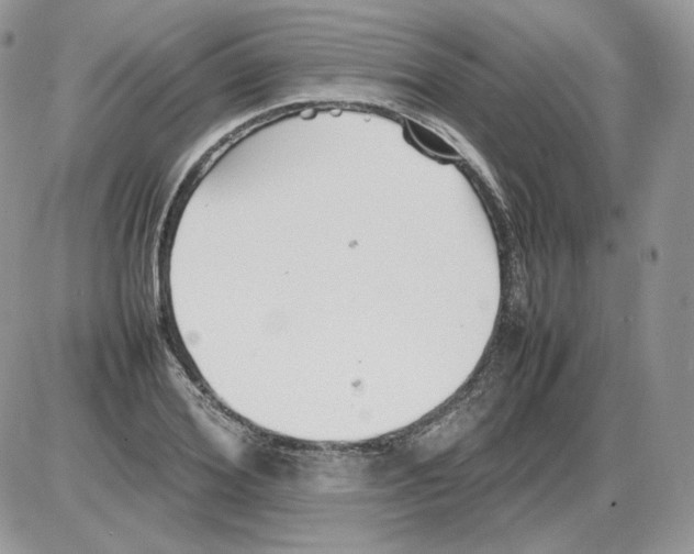 X0000086080980200704202147