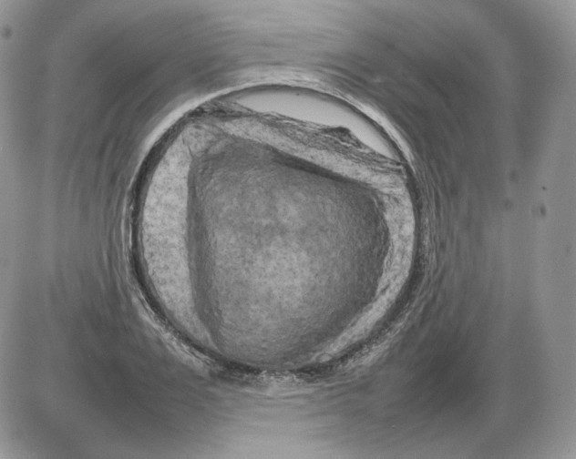 X0000086080983200704202147