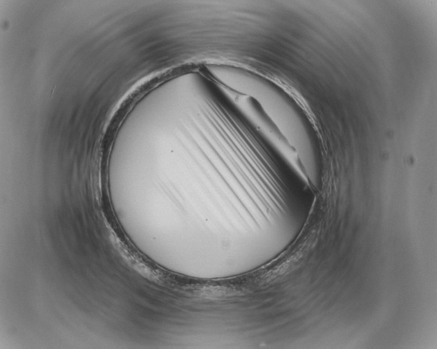 X0000086080984200704202147