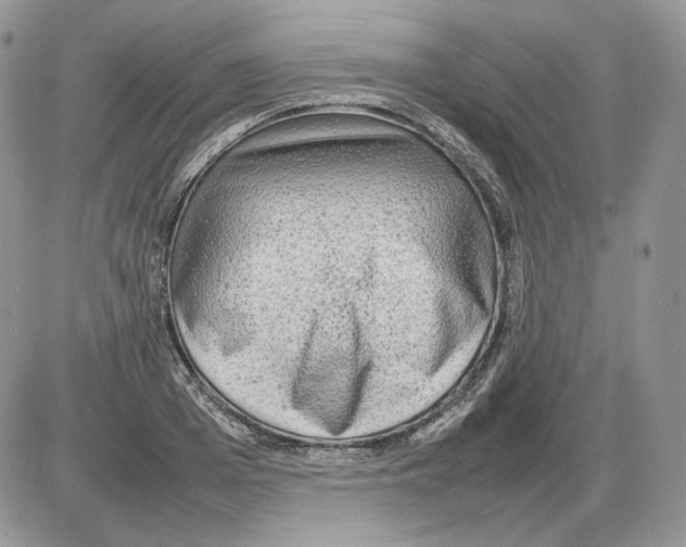 X0000086080985200704202147