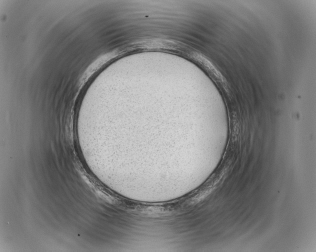 X0000086080986200704202147