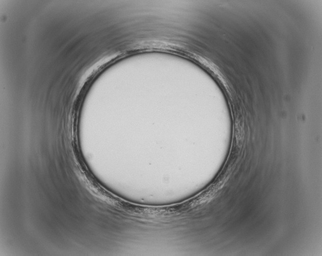 X0000086080987200704202147