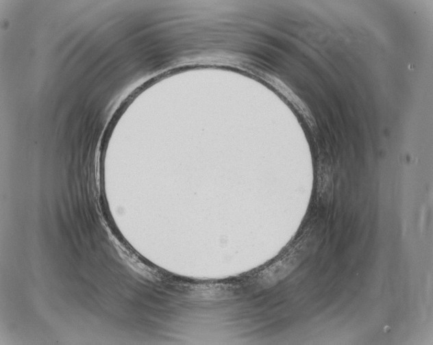 X0000086080988200704202147