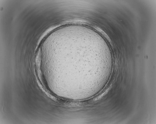 X0000086080989200704202147