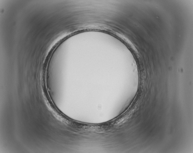 X0000086080991200704202147