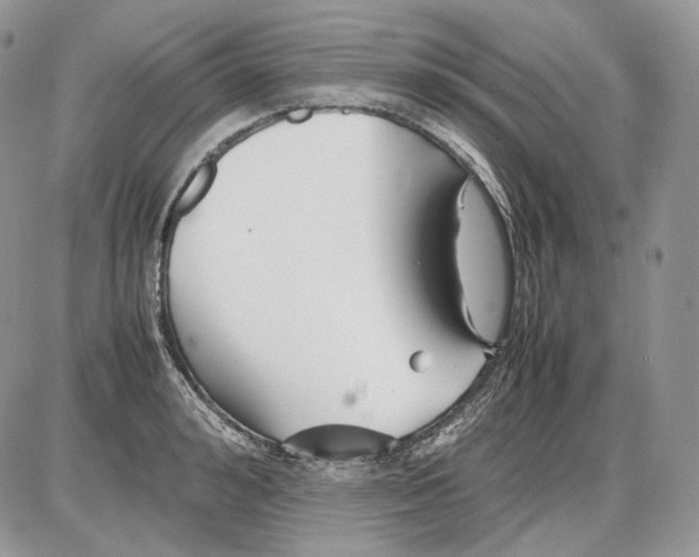 X0000086080992200704202147