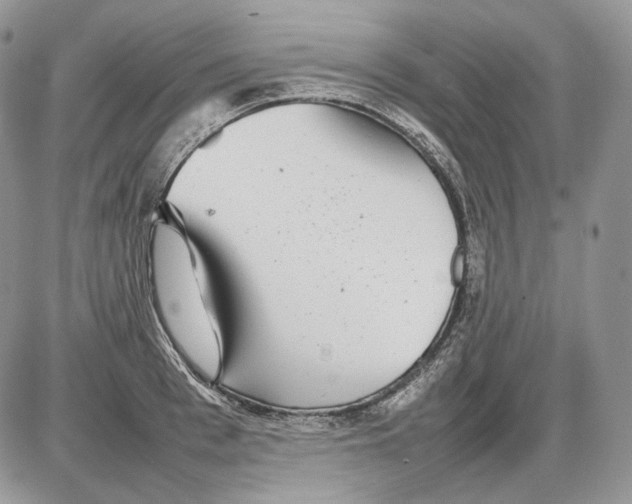 X0000086080993200704202147