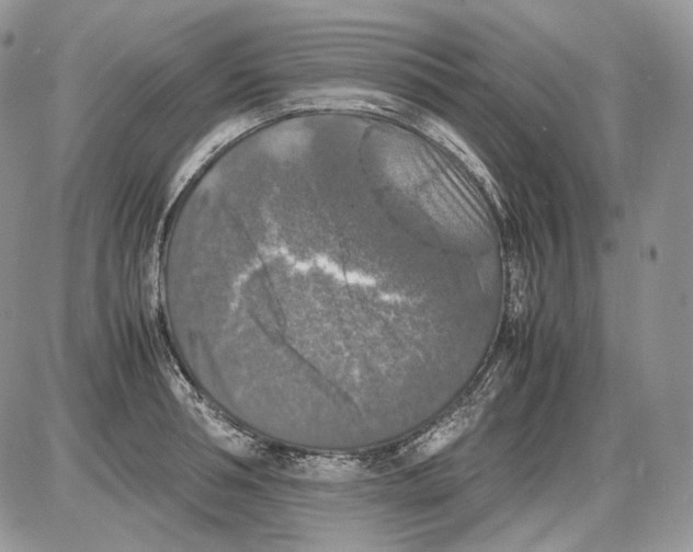 X0000086080994200704202147