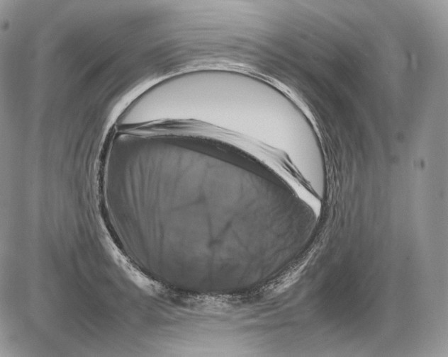 X0000086080995200704202147