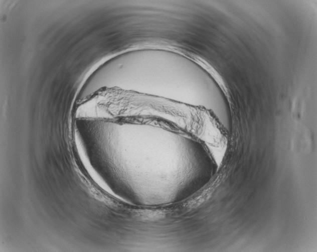 X0000086080996200704202146