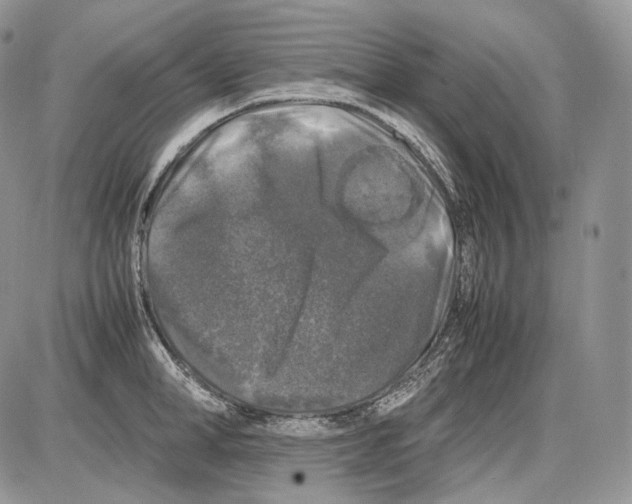 X0000086080998200704202146