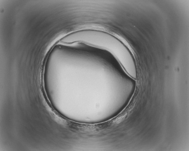 X0000086080999200704202146