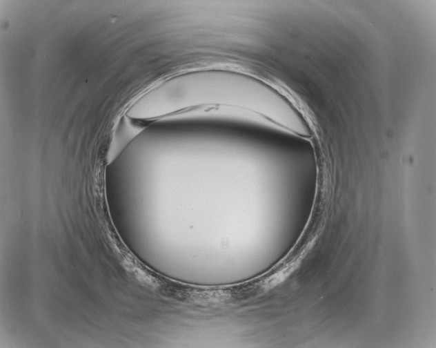 X0000086081001200704202146