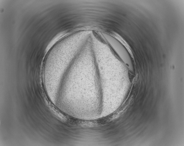 X0000086081002200704202146