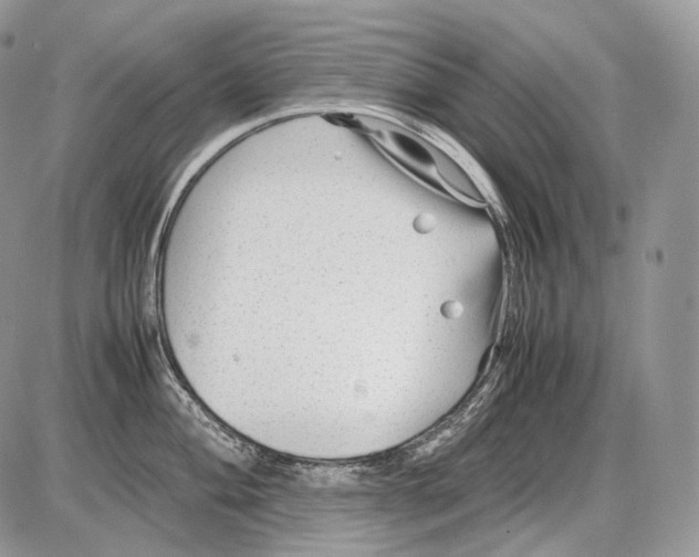 X0000086081004200704202146