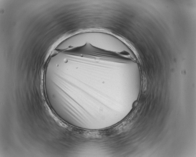 X0000086081006200704202146