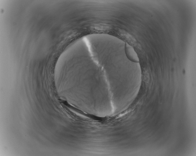 X0000086081009200704202146