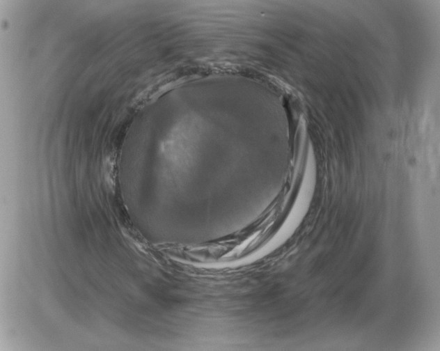 X0000086081010200704202146