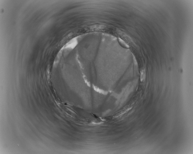 X0000086081011200704202146