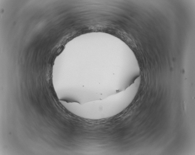 X0000086081012200704202146