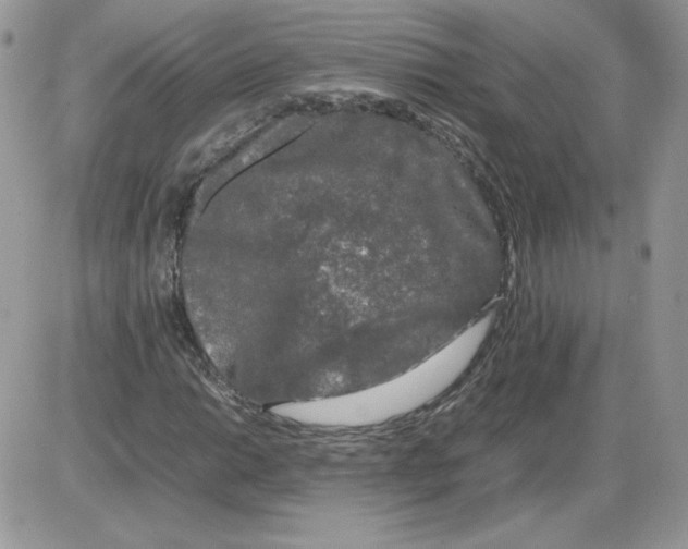 X0000086081014200704202146