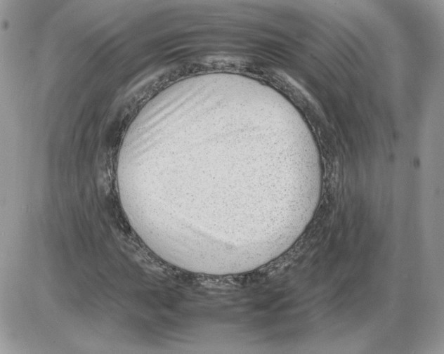 X0000086081015200704202146