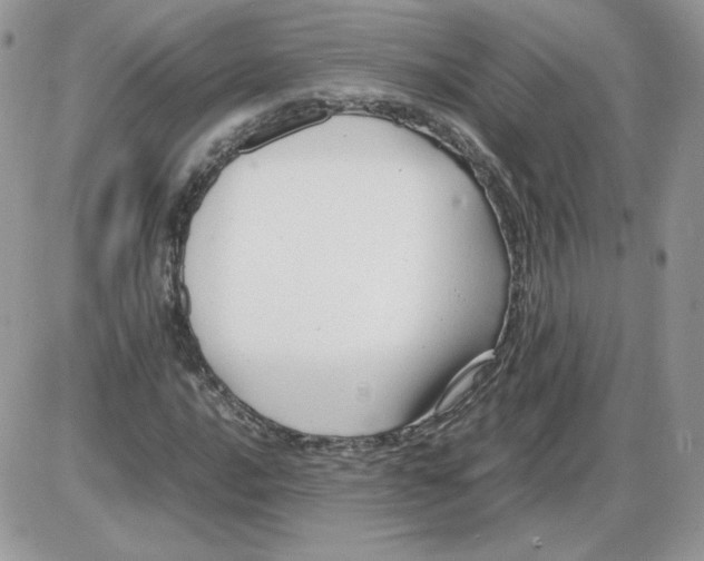 X0000086081016200704202146