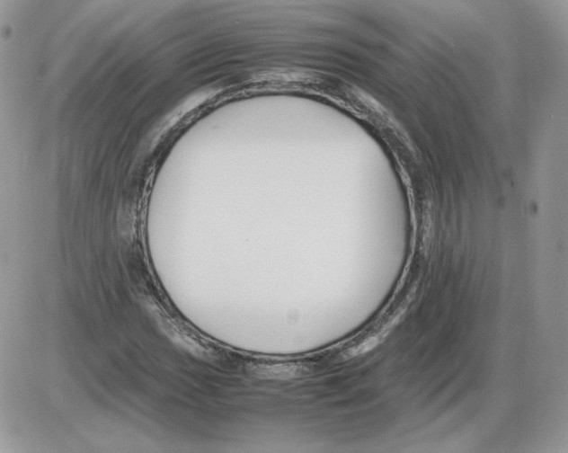 X0000086081017200704202146