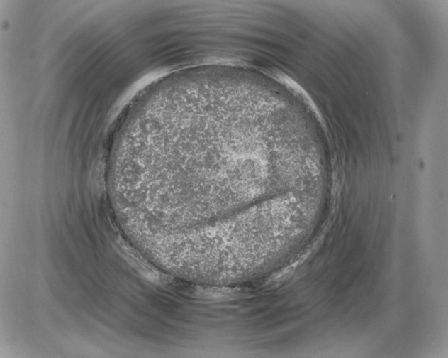 X0000086081019200704202146