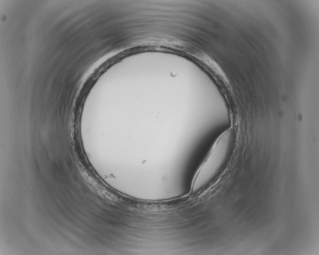 X0000086081020200704202146