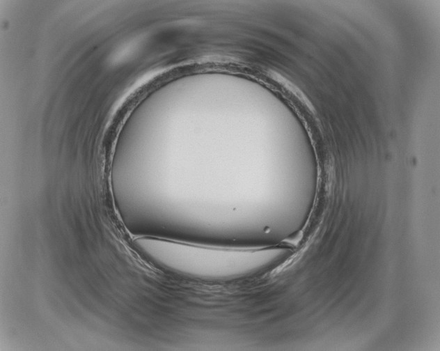 X0000086081021200704202146