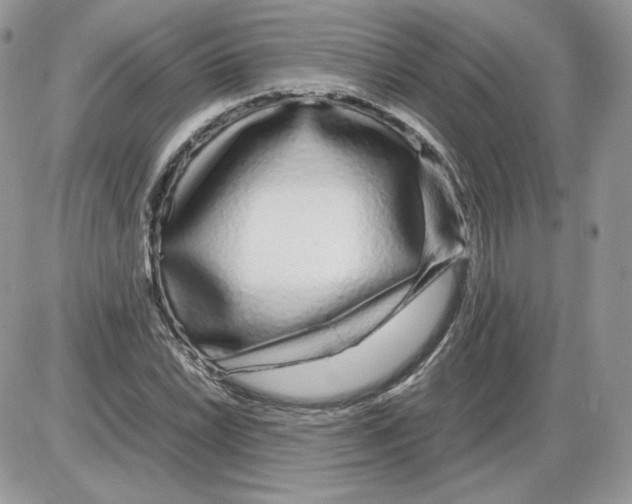 X0000086081022200704202146