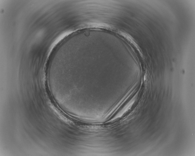 X0000086081024200704202146