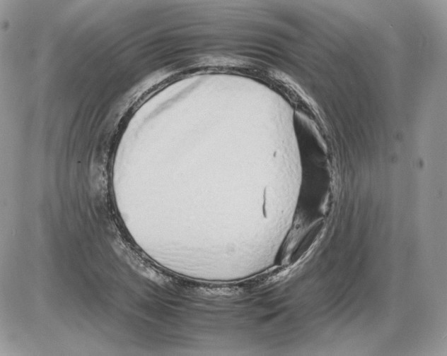 X0000086081025200704202146