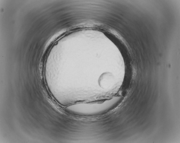 X0000086081026200704202146