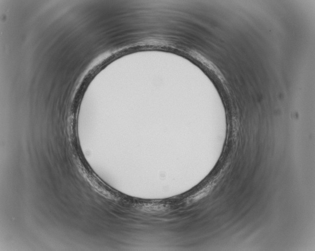 X0000086081029200704202146